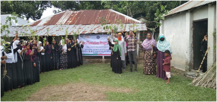 Planting of Tree
